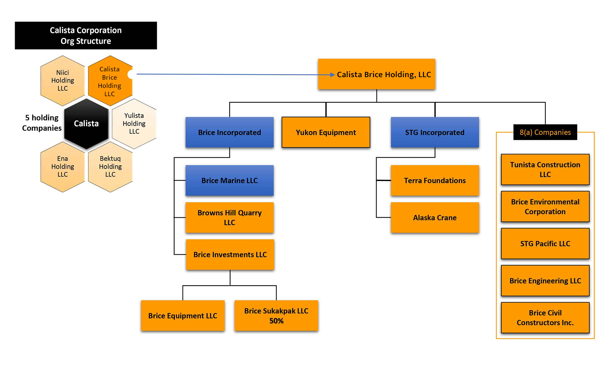 Organization chart displaying how the Calista Brice Holding LLC is made up